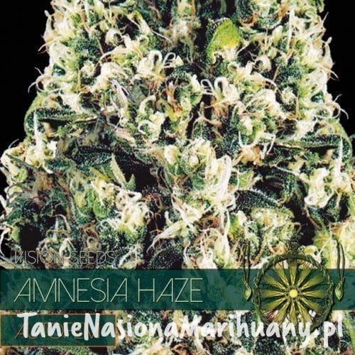 833a482371e7b6cd91f7a8ad484bde57