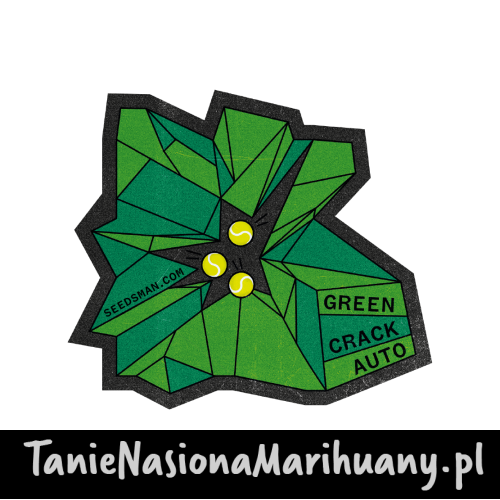 green_crack_auto (1).png