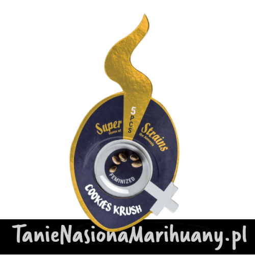 Superstrains_CookiesCrush_5pcs-700x700-1-600x600 (1).png