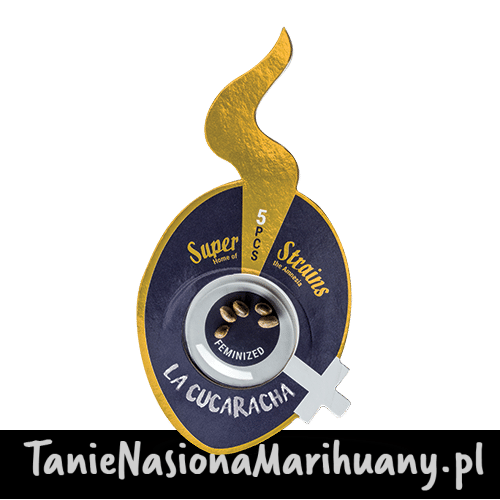 Superstrains_LaCucaracha_5pcs (2).png