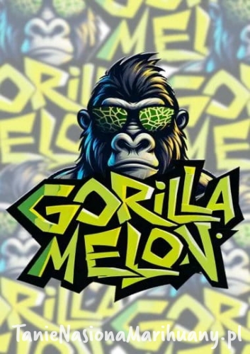 m_tsp_gorilla_melon_transparent_1712218063.jpg