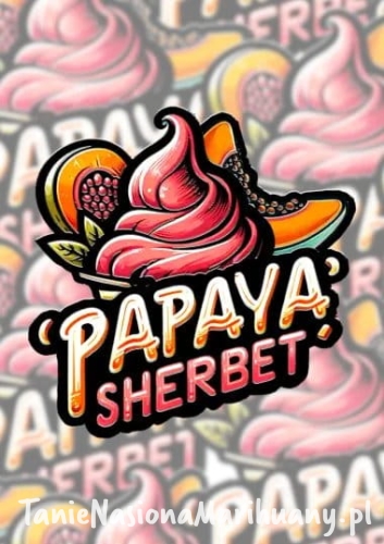 m_tsp_papaya_sherbet_transparent_1712218129.jpg