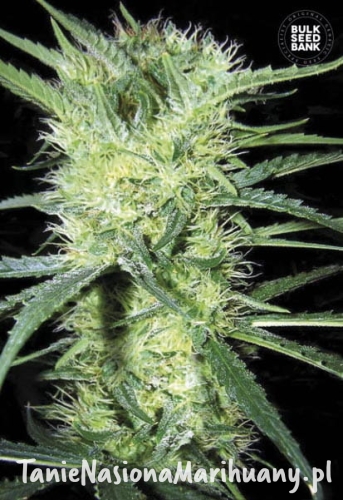 8d679f61e21c4b74fc6d925ee740e934