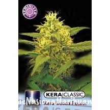 8da1cd92feba7b13b220fa5d4ada714a