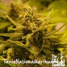 8dac4ea2f332c7b9f6c319bb333995ae