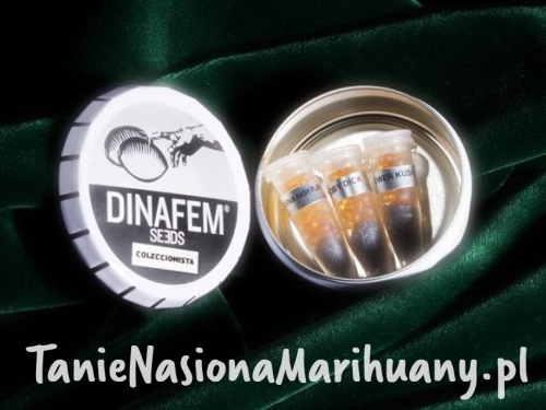 9174b12944f2e3798f547ca4d4187834