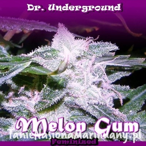 93ac6609c35d5af891754abe3f4965ae