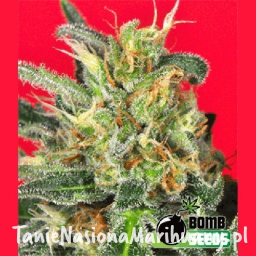 9c453e78d7fb4d4f4f981d02571edb76