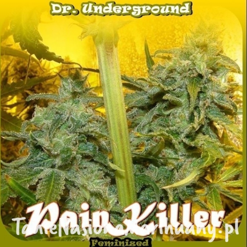 9c6e50d43f7be9f7b93746f7f9e91b4b