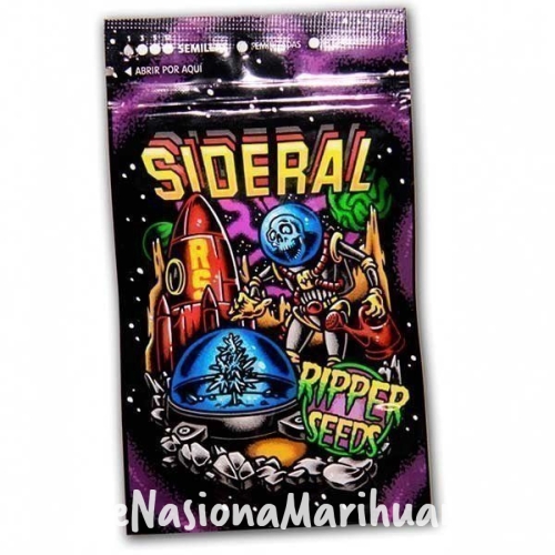 a03d2db6997c01bea2840681bae9ad1d