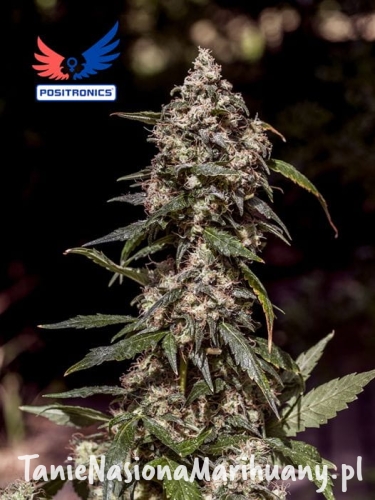 a2b3350695c490677b02f4085f140508