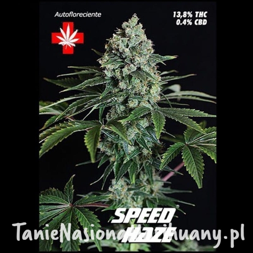 a68555fda7a863bce39ab969d54c367a