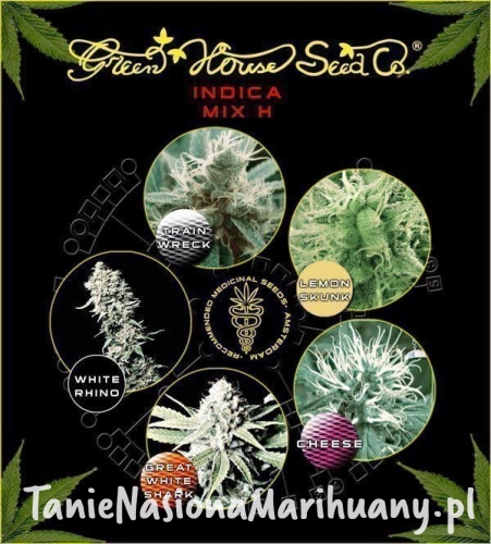 a7bd1614bedf81a0664e4855c361a497