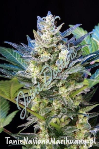 a94b64d47769dedf2b76572997be3a0e