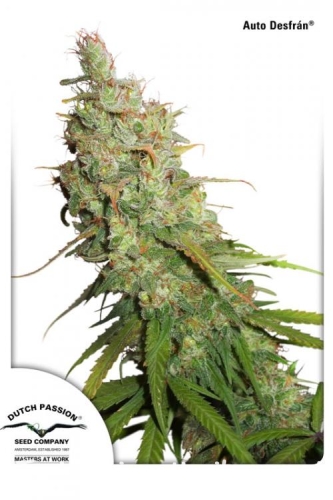 af95ac6e334576516fe619363465d874