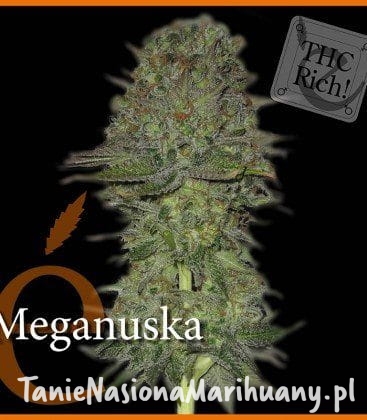 b05bd12e8d3f15b0b0f7fe3baf59a06d