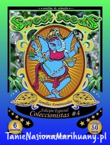 b07dfd4c252f8d7ef0ef9c91ca4dd7fe