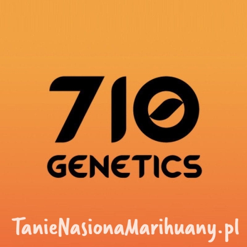 b3d5ed9fed29a55ec92daf9dd6c919cd