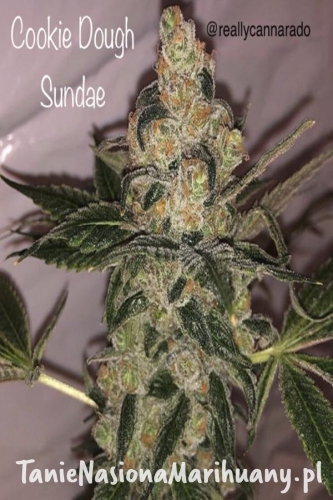 b762854c9b985ea5f49a14b9c223d8f7