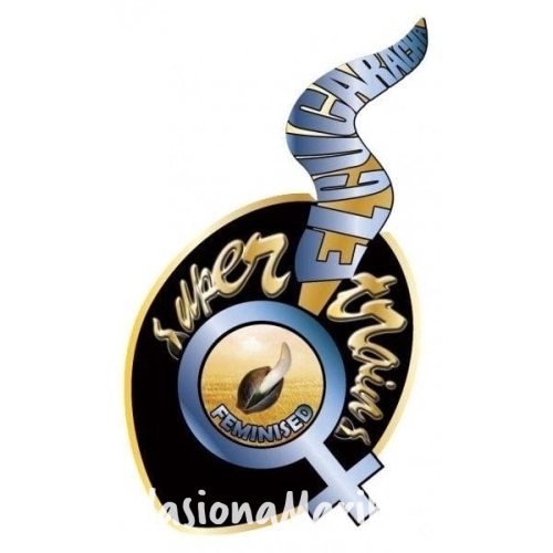 bcc028901e1b87a481a080698900e153