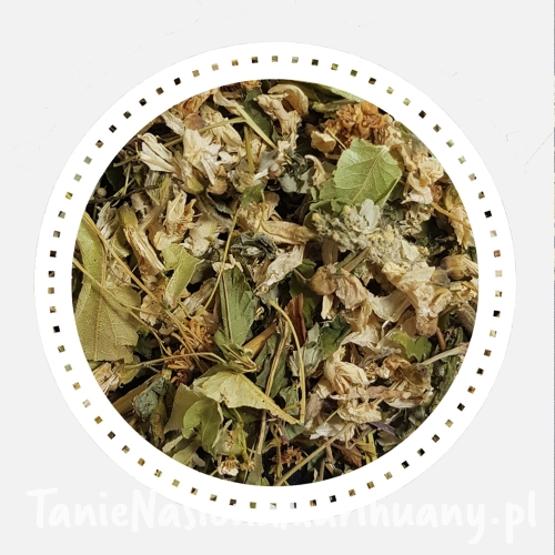 beda554cbe27f362e75b71721a33899d