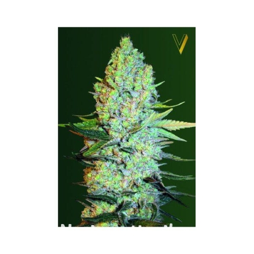 c23cdb80a4e3c2b4982c60754eee02b0