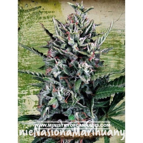 c864534005cf1b84a95aba798373371d