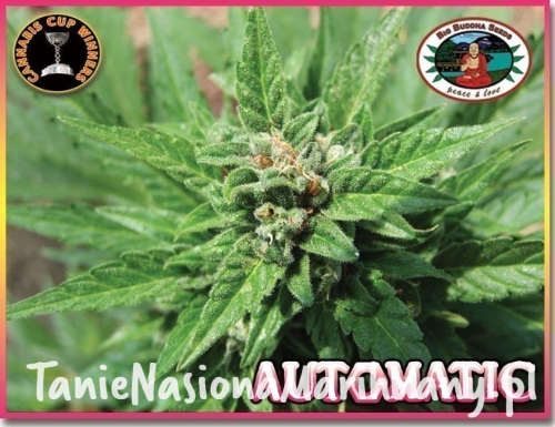 d374343e035696da3eb9efae7e3bb0e6