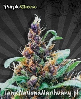 d8b0b325dc3777ccf0b252f3a38376ee