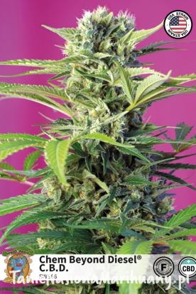 e5d3a922c9b5f0d136a1c36a84899d64