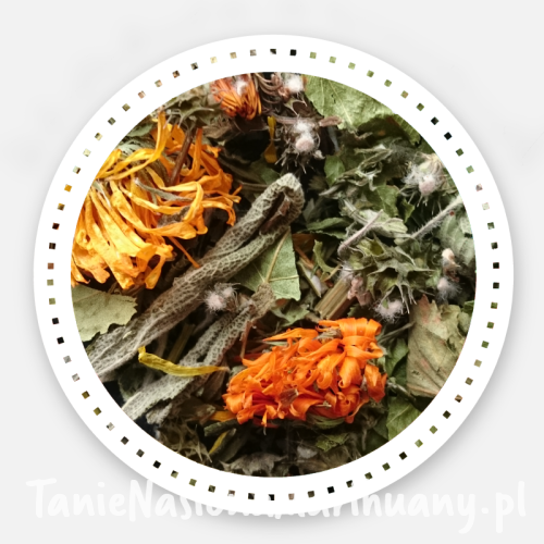 e641977b76213a56cfbe88c14e543342