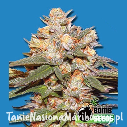 e6675f482831ef13fe2af0b03ec0a0e6