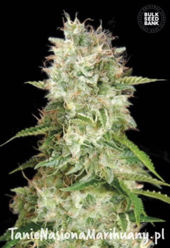 eab93d3595dbbcf81b6070166a916eba