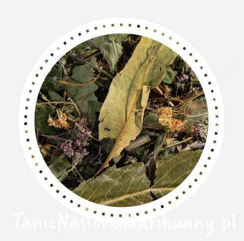 ed42513bd25b87846ae72d063dce0a77