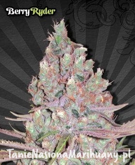 edfa8efd7e6975fd437fd1f0462eff12