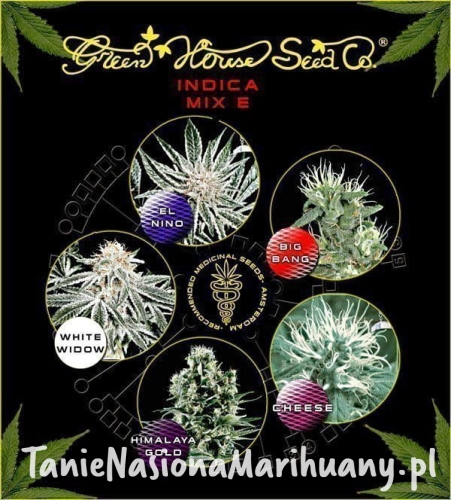 f04cec1736dd22a0cefbff9f0abede66