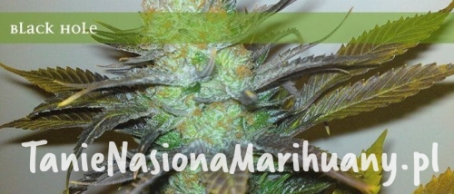 f16fe5a9e7d6fd8eb3c4282df367f10c