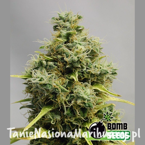 f2d3e8bc7476306210bc85f519c687b7