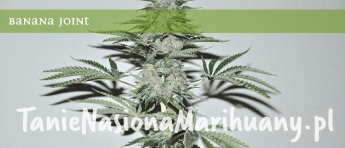 f40d8862fdc0648ac838dd350ff504bb