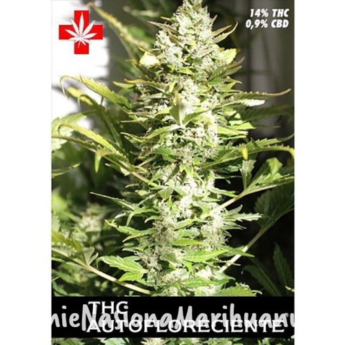 f71bb14b82e78fc506ea13284504659e