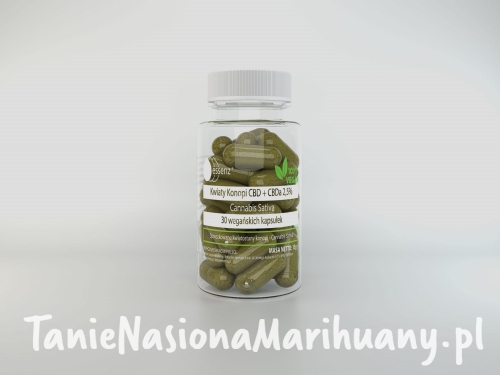 f870afd9603622d8044cccdddca6df03