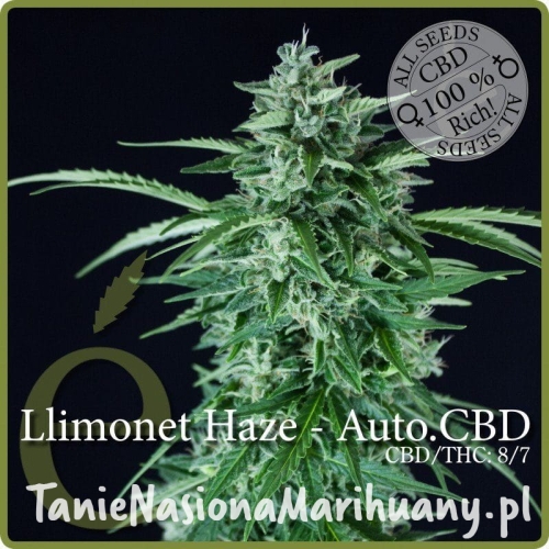 fa26a258e867b2f60b4cba33743618fa