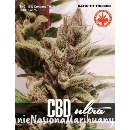 fa88b0bb5dd27d5c219ca14206a0d255