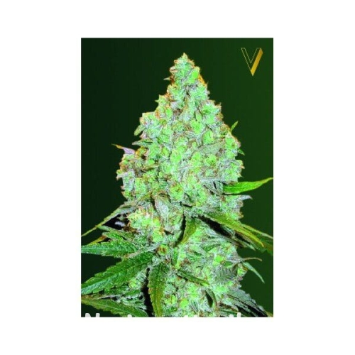 ff48dc40f5acc6fe0715c274e123da10